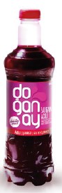 ŞALGAM PET 2000 ML ACILI