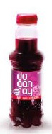 ŞALGAM PET 300 ML ACILI