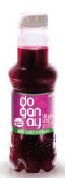 ŞALGAM PET ACISIZ 300 ML