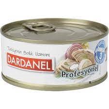 TON BALIĞI 160 GR