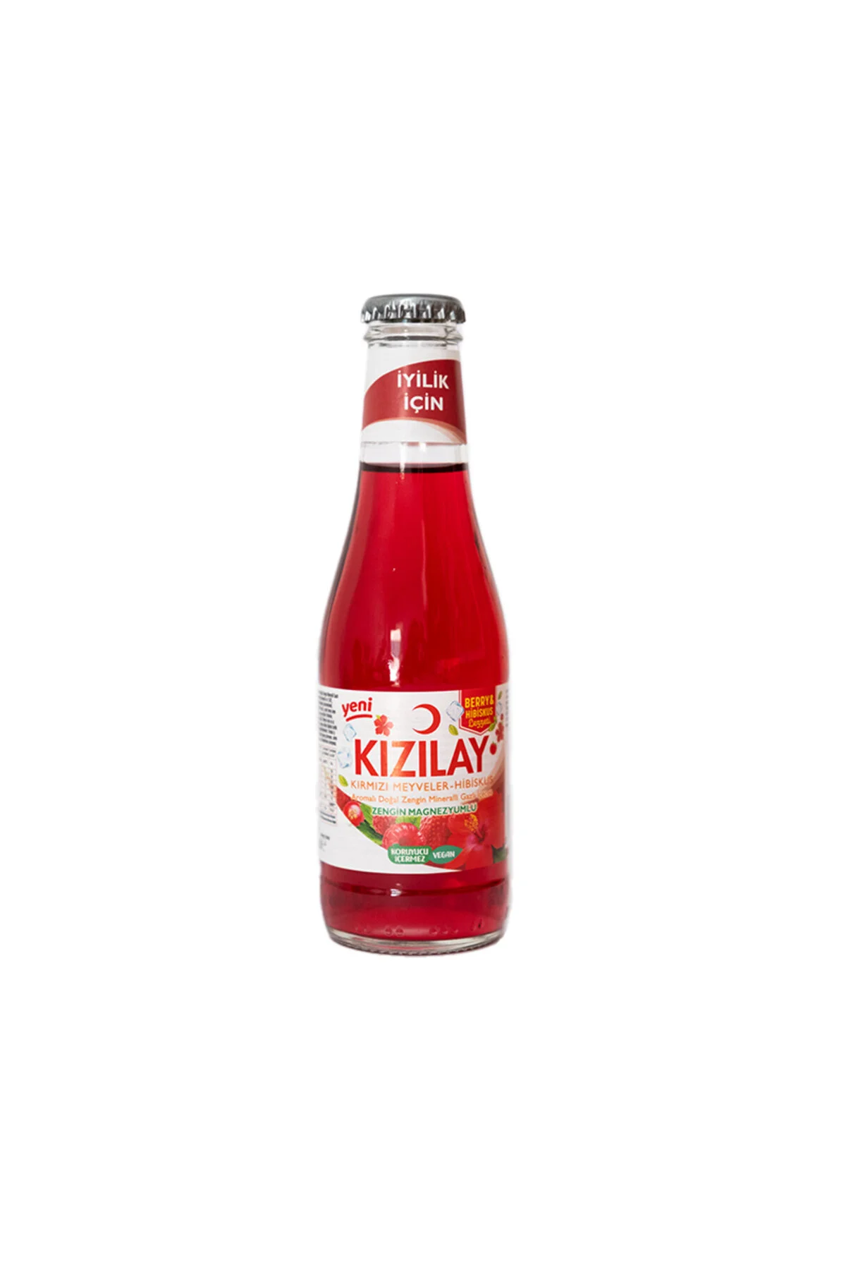 MEYVELİ SODA ÇEŞİTLERİ 200 ML